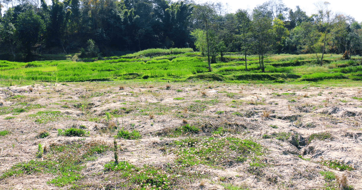 Nepal’s land use legislation is flawed: What should be done?