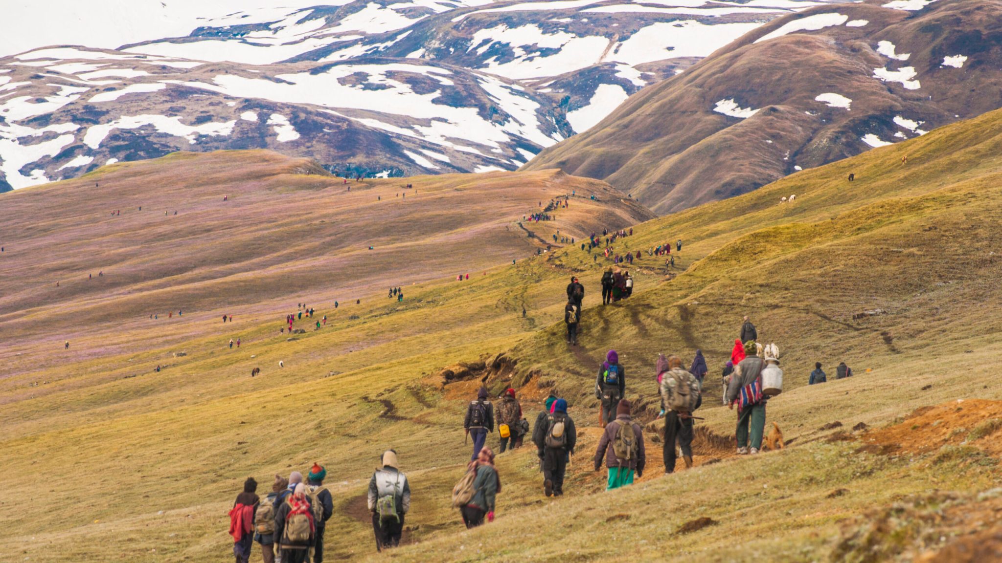Injured Yarsagumba collectors rescued after four days