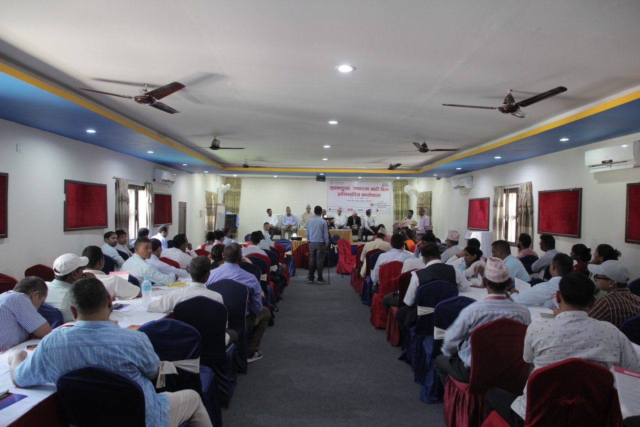 Workshop on ‘Index-Based Flood Insurance’ held